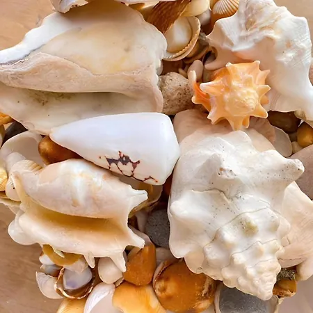 Apartman Pedra Do Mar *