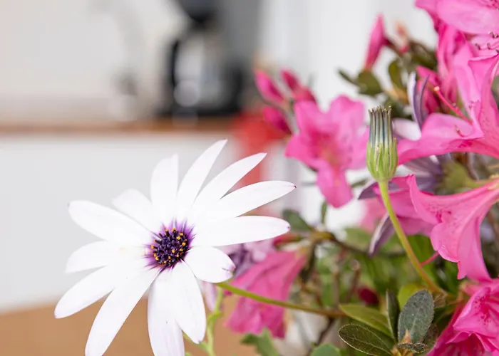 Pedra Do Mar * São Roque