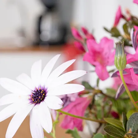 Pedra Do Mar * São Roque