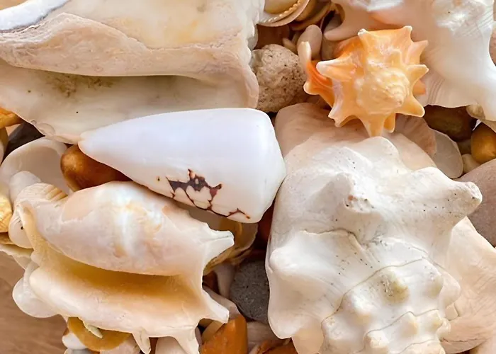 Apartment Pedra Do Mar *